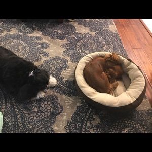 Meet your Posher, Teresa